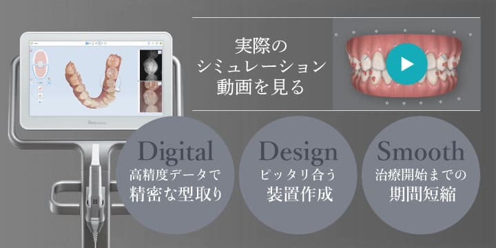 実際のシミュレーション動画を再生する