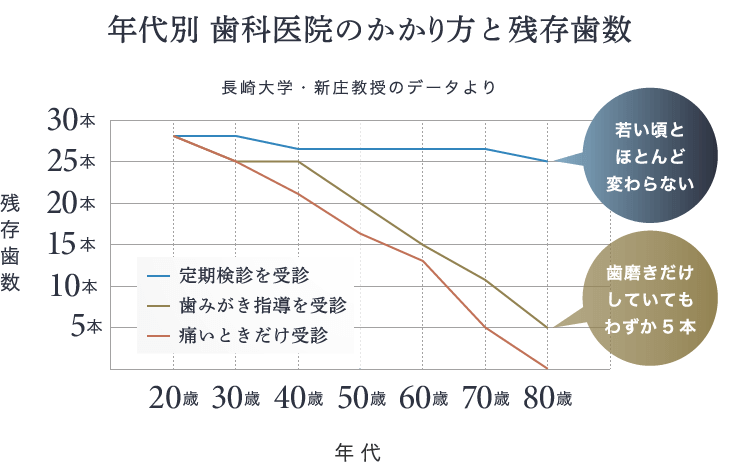 年代別 歯科医院のかかり方と残存歯数